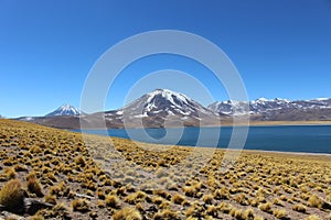 Laguna Miscanti and MiÃÂ±iques, Atacama Desert, Chile. Miscanti and MiÃÂ±iques Vulcan