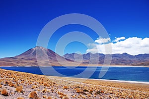 Laguna Miscanti and Volcan Miniques