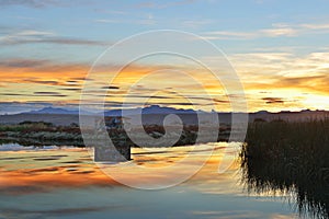 Laguna Nimez, El Calafate photo