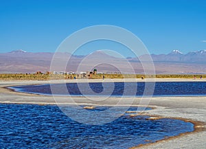 Salar de Atacama in Chile photo