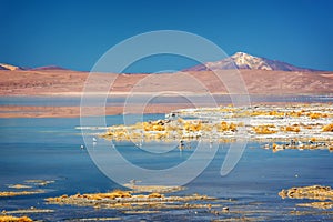 Laguna Polques, Sud Lipez province, Potosi Bolivia photo