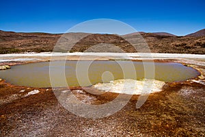 Red lagoon. Laguna Roja, Altiplano Chileno photo