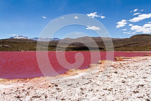 Red lagoon. Laguna Roja, Altiplano Chileno photo