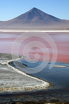 Laguna roja Bolivia photo