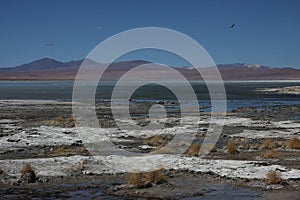 Laguna Salada landscape photo