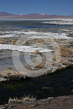 Laguna Salada shore and mountains photo