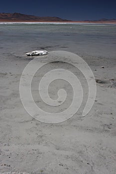 Laguna Salada and a stone photo