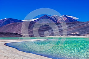 Laguna Salar de Talar with the Andes Mountain, San Pedro de Atacama, Antofagasta Region, Chile