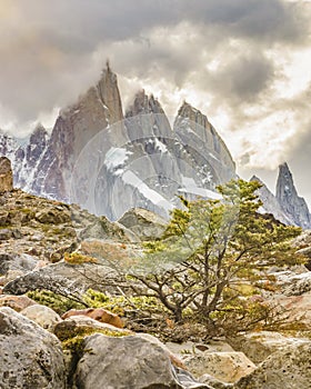 Laguna Torre El Chalten Argentina