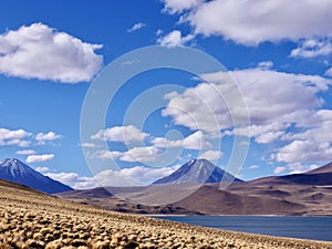 Lagunas Altiplanicas in the Atacama Desert