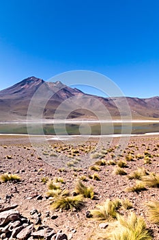 Lagunas Altiplanicas, Miscanti y Miniques, amazing view at Atacama Desert. Chile, South America