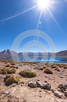 Lagunas Altiplanicas, Miscanti y Miniques, amazing view at Atacama Desert. Chile, South America