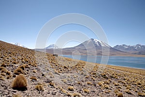 Lagunas - Atacama, Chile photo
