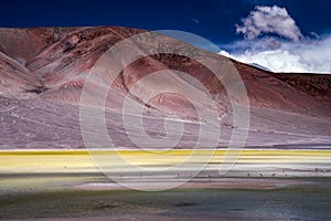 Lagunas de los Aparejos, La Puna, Argentina photo