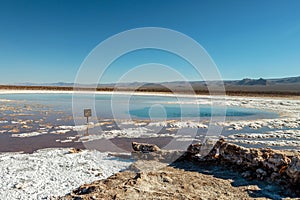 The Lagunas Escondidas hidden altiplanic lagoons of Baltinache : salt lakes in Salar of Atacama desert, Chile