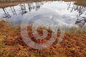 Lahemaa National Park in Estonia