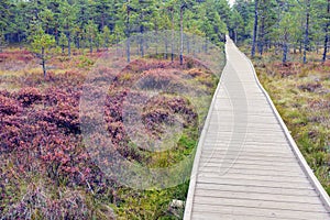 Lahemaa National Park in Estonia