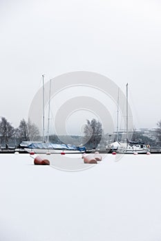 Laid up sailboats in ice covered harbor at the Baltic Sea for winter lay-up concept