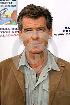 Laird Hamilton,Pierce Brosnan