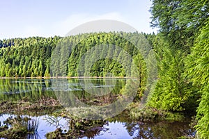 Lake 7 city´s in São Miguel island in the Azores archipelogue