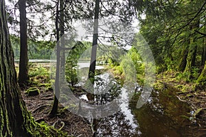 Lake 7 city´s in São Miguel island in the Azores archipelogue