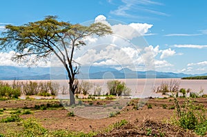 Lake Abaya photo