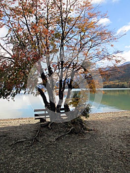 Lake Acigami Ushuaia Argentina photo