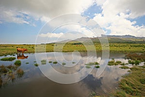 Lake at the active volcano - Mount Aso