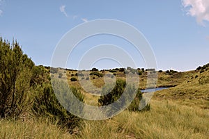 Lake against The high altitude moorland at Mount Kenya