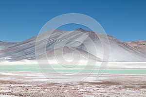 Lake aguas calientes or salar de Talar in Chile Atacama photo