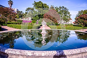Lake in the Ajuda Botanical Garden, reflection of the vegetation - Lisbon PORTUGAL photo