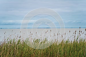 Lake Albert in Meningie, South Australia