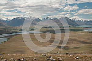 Lake Alexandrina and Tekapo photo