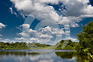 Lake Alice in gainesville