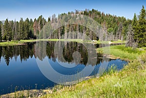 Lake along Chief Joseph Scenic Byway photo