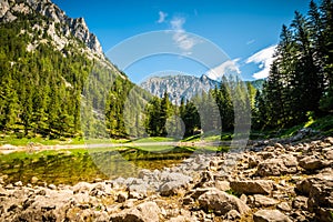 Lake in Alp destination in Styria, Austria between mountains and forests. Green Lake  Gruner See