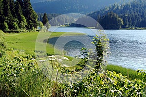 Lake In Alpes ( Bavaria )