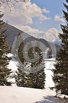 Lake in the alps