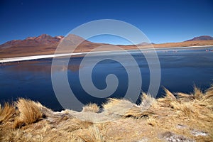 Lake in the Andes, Bolivia