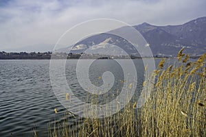 The lake of Annone at Oggiono, Lombardy, italy photo