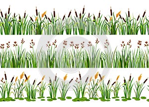 Lake aquatic plant borders. Seamless swamp cattails, marsh reed and strip of coastal river plants vector illustration