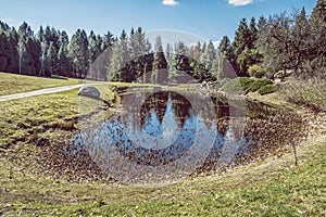 Lake in Arboretum Tesarske Mlynany, Slovakia