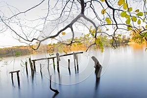 Lake in the autumn