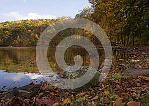 Lake in Autumn