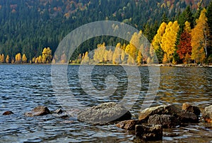 Lake in autumn forest