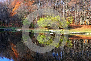 Lake with autumn forest reflectio, Zochova chata photo
