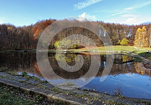 Lake with autumn forest reflection