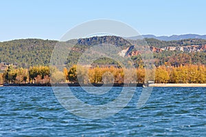 Lake in Autumn with Golden Trees