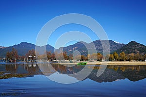 Lake in Autumn with Golden Trees