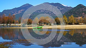 Lake in Autumn with Golden Trees